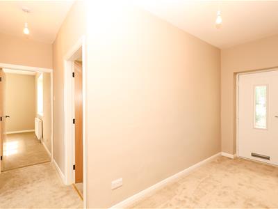 Picture 24